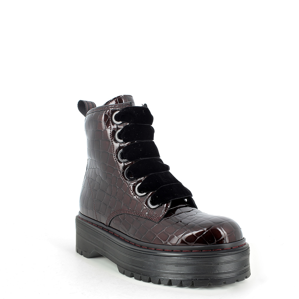 Anfibi igi e co new arrivals